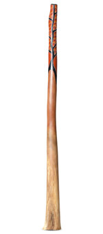 Jesse Lethbridge Didgeridoo (JL303)